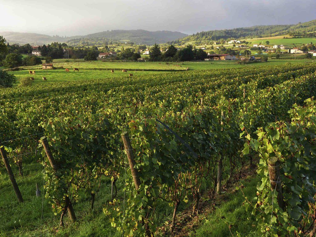 Hotel Mercure Bord De Saone 4*